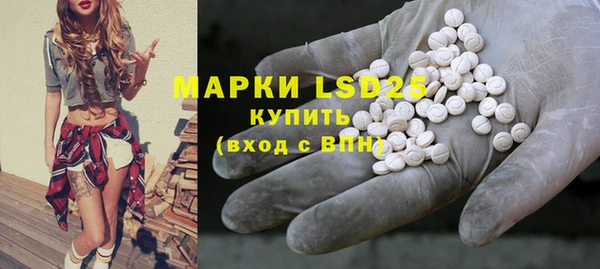 PSILOCYBIN Баксан
