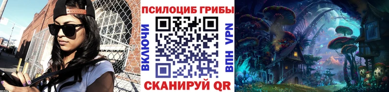 Псилоцибиновые грибы Psilocybine cubensis Шиханы